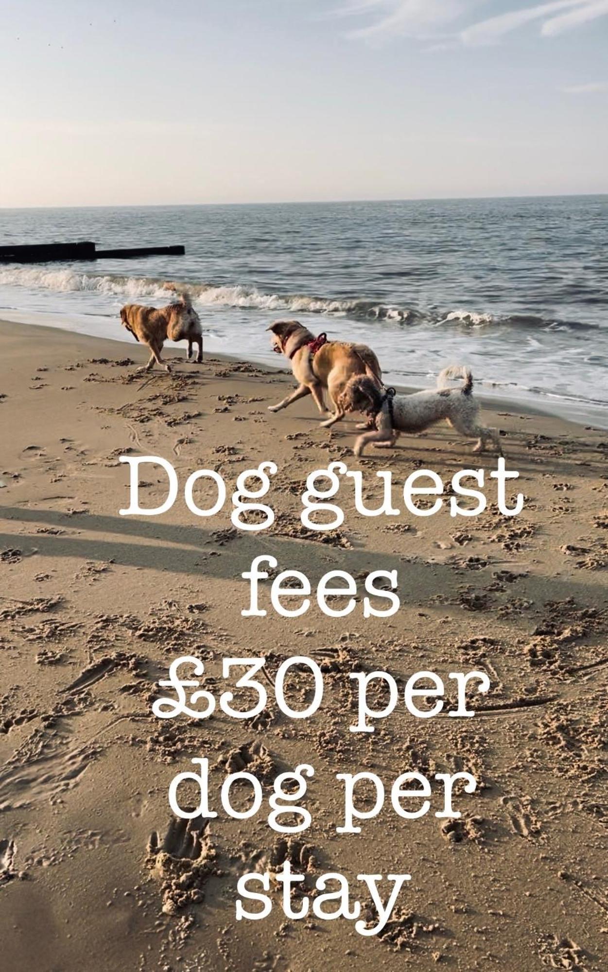 Вилла Coastal Terrace Dogs Welcome Optional Hot Tub Sea Palling Экстерьер фото
